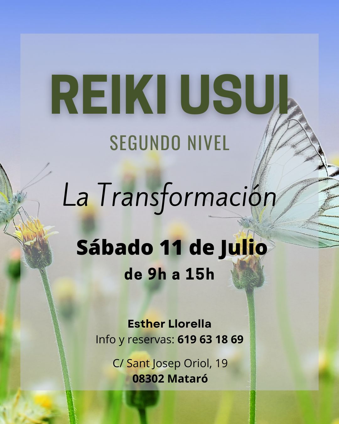 Kinesiologia, Flores de Bach, Reiki